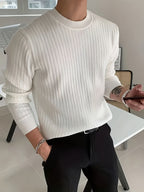 Pull homme maille col rond manches longues